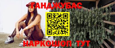 стафф Дубна