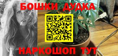 стафф Дубна