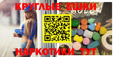 стафф Дубна