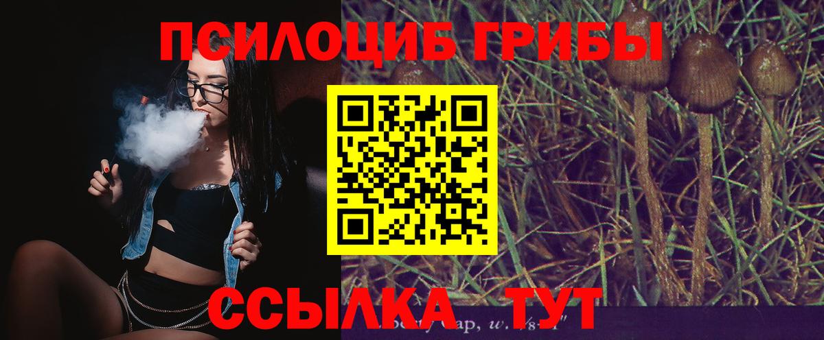 Егорьевск  Псилоцибиновые грибы прущие грибы  Вход с VPN 